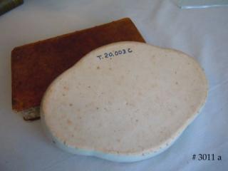 verso, with museum or collection numbers