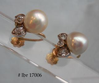 DSCN8378.JPG