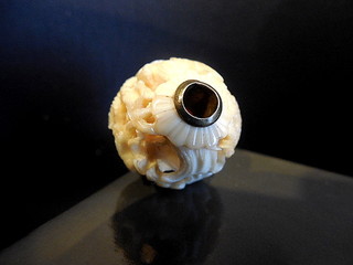 DSCN1782.JPG