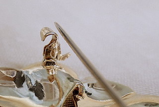 DSCN5008.JPG